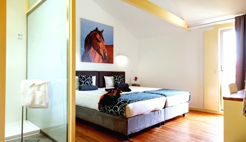 Habitación clásica con 1 cama doble o 2 individuales