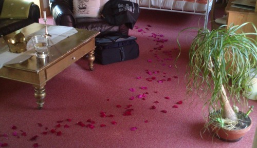 Double Room Single Use, 1 Bedroom, Kitchen, City View (Kat. 3)