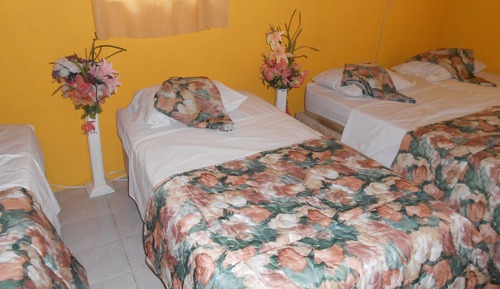 Bungalow básico, solo para hombres, no fumadores, habitaciones comunicadas (Single Bed per person)
