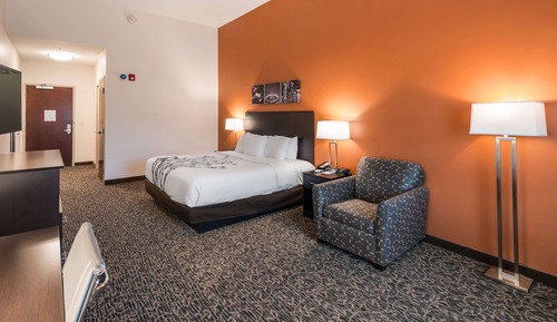 Habitación estándar, 1 cama de matrimonio grande, no fumadores