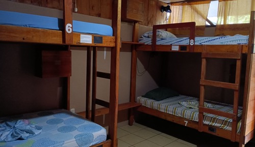 Shared Dormitory