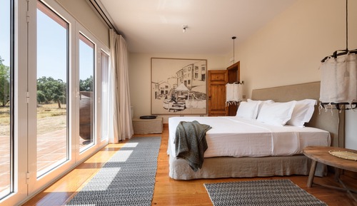 Suite estudio junior