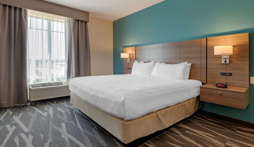 Habitación estándar, 1 cama de matrimonio grande, no fumadores, frigorífico y microondas