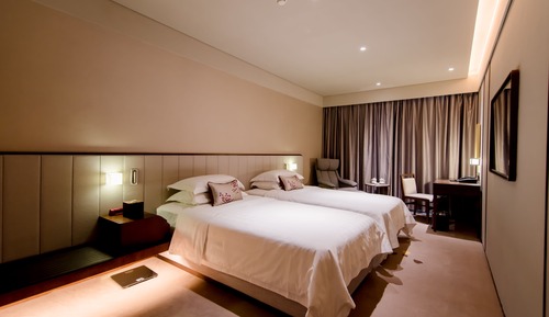 Habitación Deluxe con 2 camas individuales