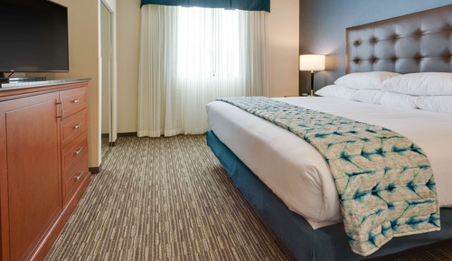 Suite, 1 cama de matrimonio grande, frigorífico y microondas (2 Rooms, Board Room Table, Roll in)