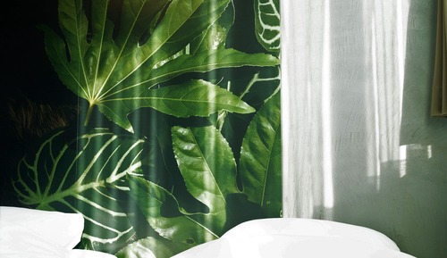 Habitación Deluxe (MODERN ROOM)