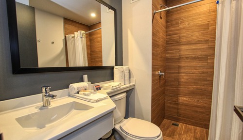 Habitación estándar, 2 camas de matrimonio