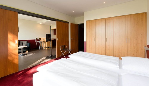 Suite Grand, vistas al parque