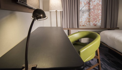 Suite, 1 cama de matrimonio grande con sofá cama (Mobility/Hearing Accessible, Tub)