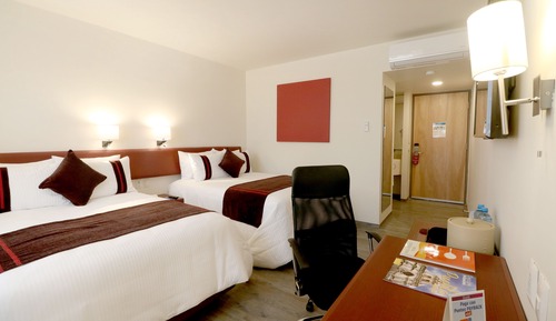 Room (Dog Friendly)