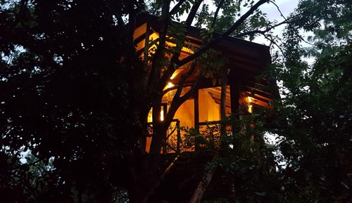 Casa de lujo en un árbol, 1 habitación, vistas al jardín