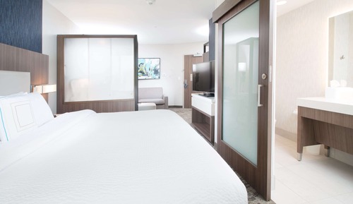Suite, 1 cama de matrimonio grande con sofá cama