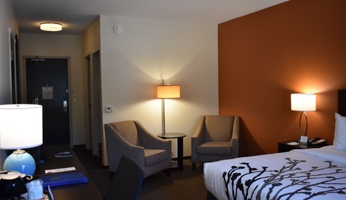 Habitación estándar, 1 cama de matrimonio grande, no fumadores