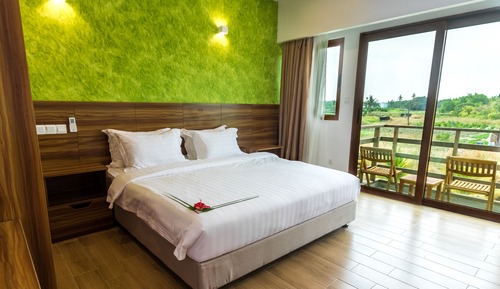Habitación Deluxe con 1 cama doble o 2 individuales, 1 cama de matrimonio grande, vistas al jardín