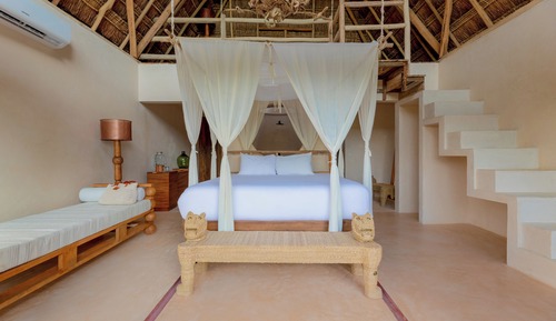 Signature Suite Upper - Jungle Side