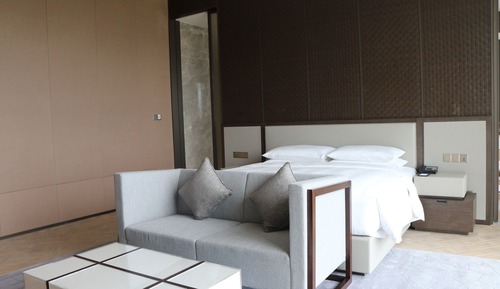 Suite presidencial, 1 habitación