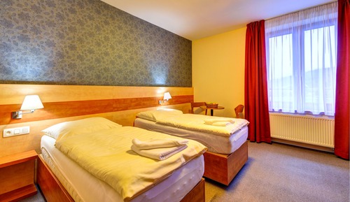 Habitación estándar con 1 cama doble o 2 individuales