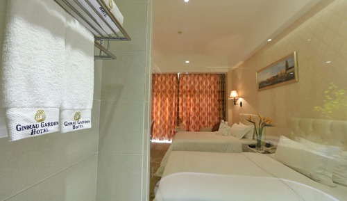 Habitación Deluxe con 2 camas individuales