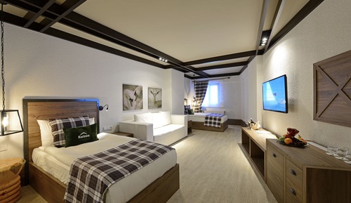 Habitación Deluxe doble de uso individual
