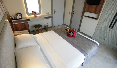 Habitación estándar con 1 cama doble o 2 individuales