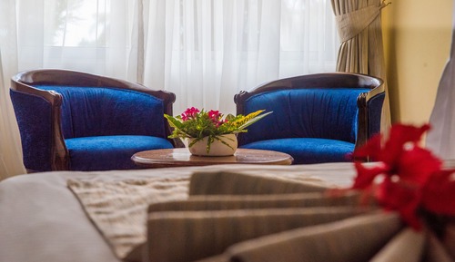 Habitación estándar con 1 cama doble o 2 individuales