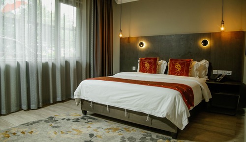 Suite estudio junior