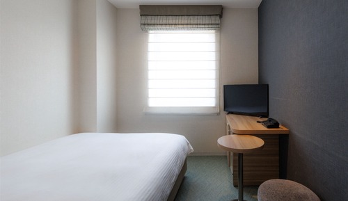 Habitación estándar doble, no fumadores (South Wing, for 1 adult)