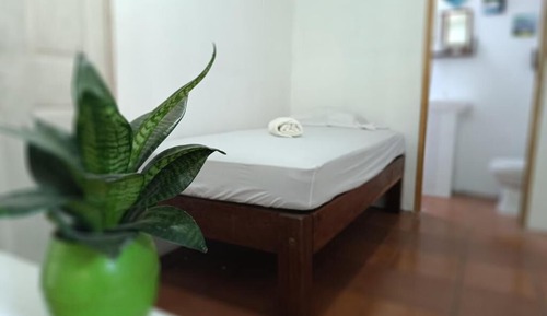 Habitación individual básica, 1 cama individual