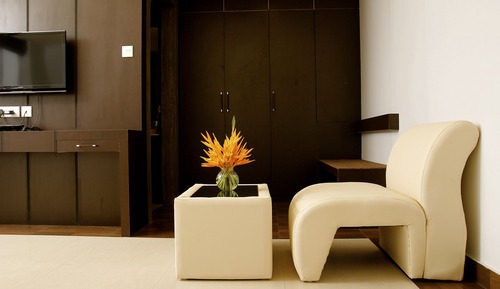 Habitación ejecutiva doble, 1 cama doble, baño privado, vistas a la ciudad
