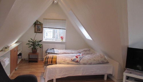Habitación cuádruple Confort, 1 habitación