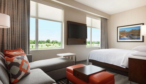 Suite, 1 cama de matrimonio grande (1 Room)