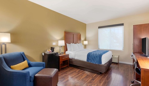 Habitación estándar, 1 cama de matrimonio, no fumadores