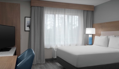 Suite estudio, 1 cama de matrimonio, accesible en silla de ruedas (Accessible Shower)