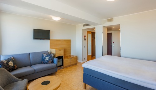 Habitación estándar, 1 cama de matrimonio (with sofabed)