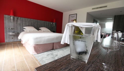 Habitación Premium con 1 cama doble o 2 individuales, 1 cama de matrimonio grande, vistas al viñedo