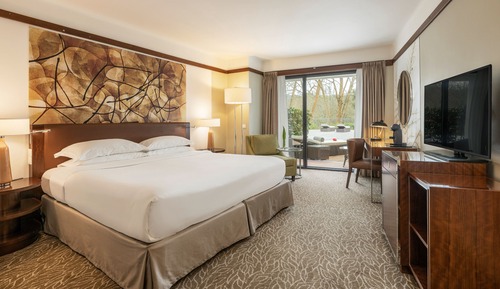 Habitación Deluxe con 1 cama doble o 2 individuales, vistas al jardín