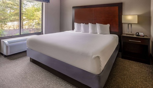 Suite, 1 cama de matrimonio grande, accesible para personas con discapacidad, no fumadores