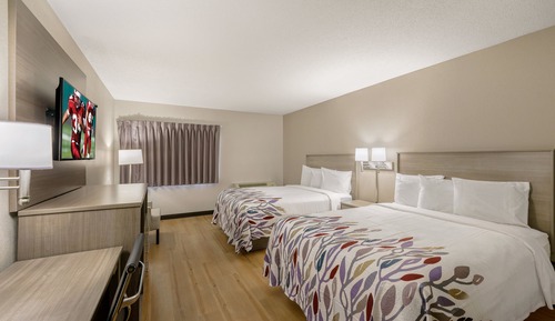 Habitación estándar, 2 camas de matrimonio, no fumadores