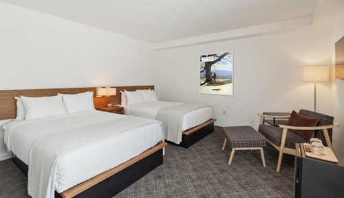 Habitación estándar, 2 camas dobles