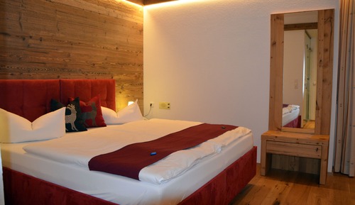 Habitación doble de uso individual, vistas al jardín