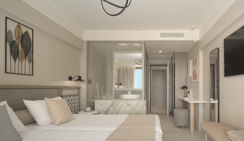 Habitación estándar doble (Without Balcony)