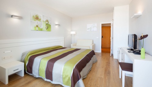 Superior Studio (3 adults + 1 child)