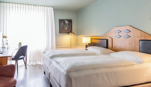 Habitación clásica, 1 cama doble