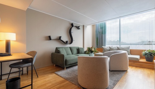 Suite, 1 cama de matrimonio grande con sofá cama