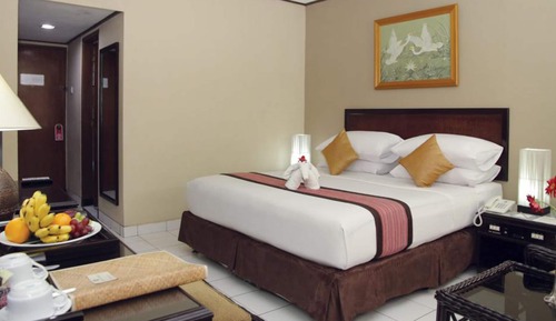 Habitación Deluxe doble, vistas al jardín