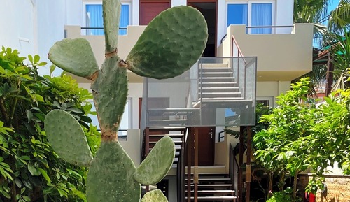 Habitación estándar