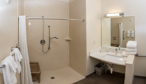 Suite, 1 habitación, accesible para personas con discapacidad (Roll-In Shower)