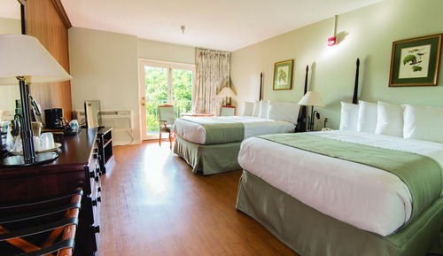Habitación estándar, balcón, vistas a la montaña