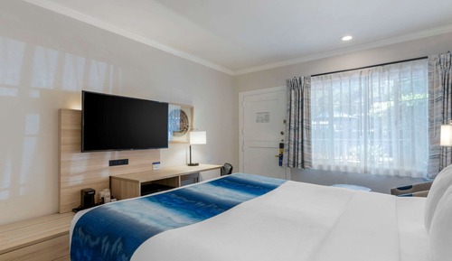 Habitación estándar, 1 cama de matrimonio grande, no fumadores