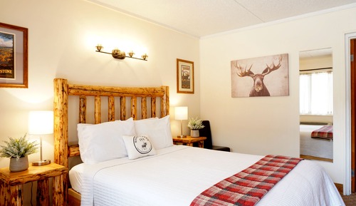 Suite (Single Queen at Moose Creek Inn)